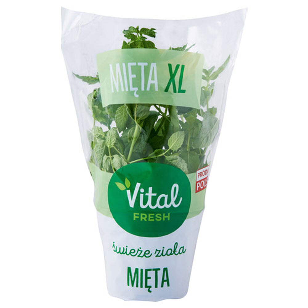 Vital Fresh Mięta XL 1 szt.. /szt.