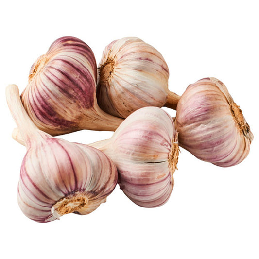 Czosnek młody 1 szt.. /szt.