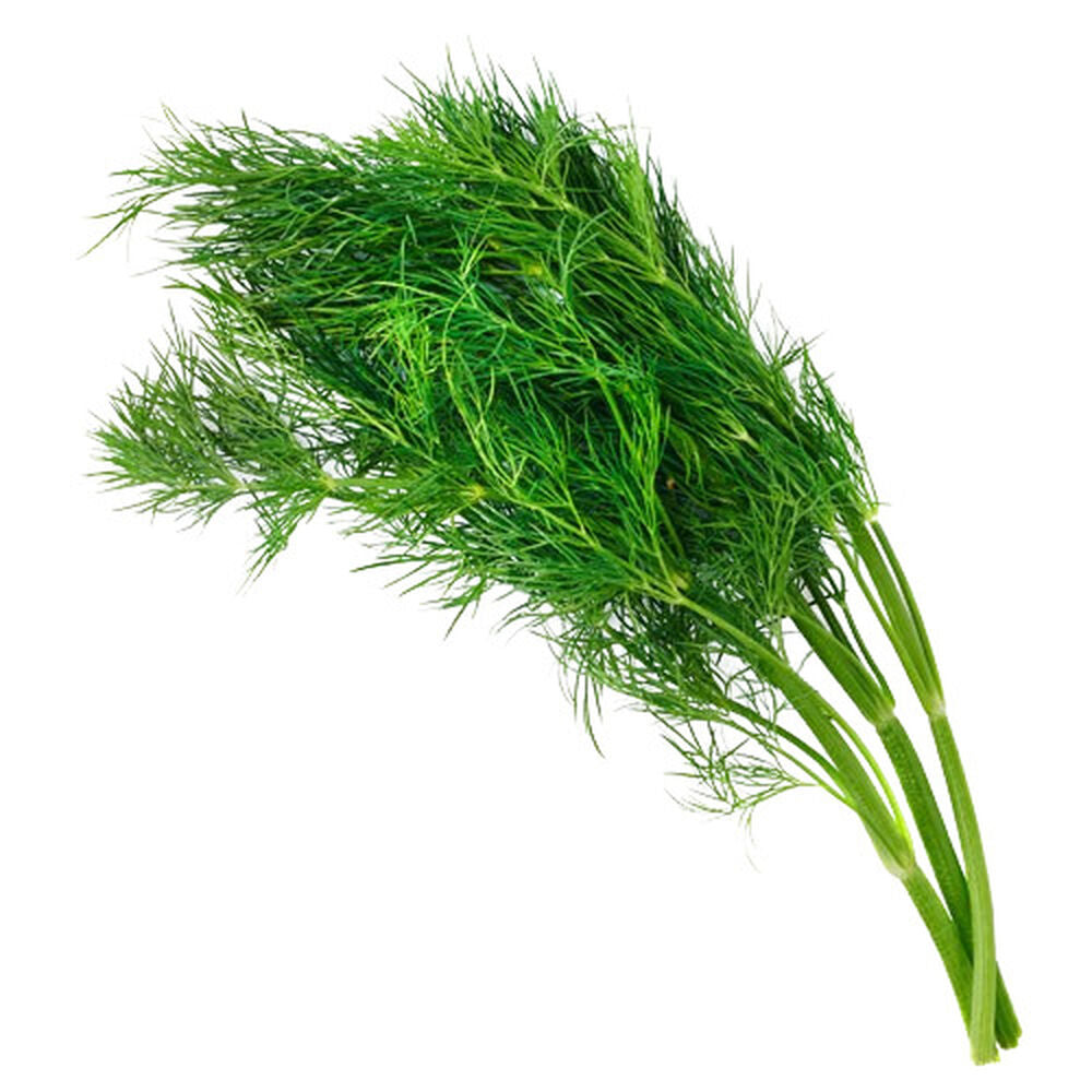 Koperek 1 pęczek. /szt.