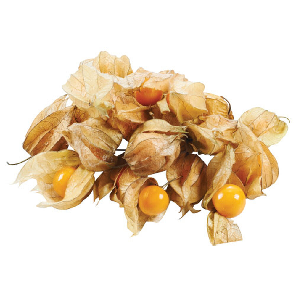 Physalis opak. 100 g. /szt.